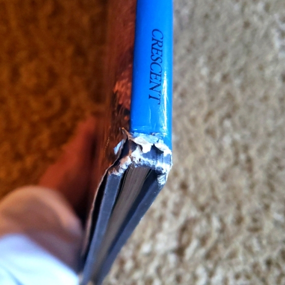 Cat Lover's Coffee Table Book Set of 3 Hardcover Vintage Books - Picture 8 of 17